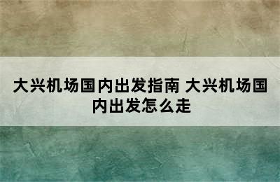 大兴机场国内出发指南 大兴机场国内出发怎么走